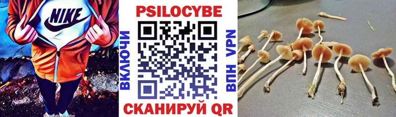 Купить Железногорск-Илимский Псилоцибиновые грибы Magic Shrooms